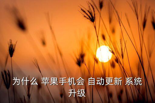 為什么 蘋(píng)果手機(jī)會(huì) 自動(dòng)更新 系統(tǒng)升級(jí)