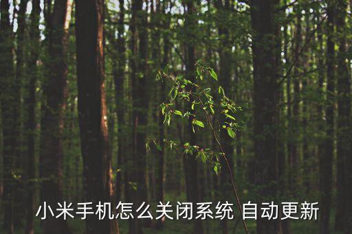  小米手機(jī)怎么關(guān)閉系統(tǒng) 自動更新