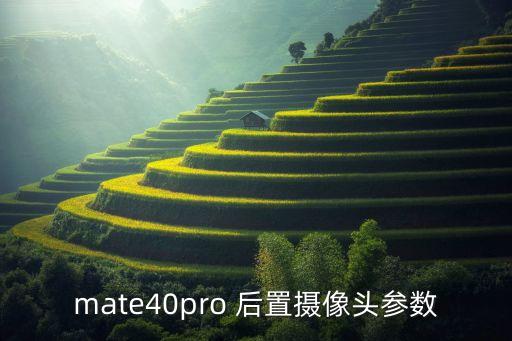 微距音頻自動變焦鏡頭,如何使用數(shù)碼相機拍攝微距照?