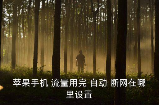 流量用完自動(dòng)斷網(wǎng),手機(jī)流量設(shè)置為上網(wǎng)就會(huì)自動(dòng)關(guān)閉