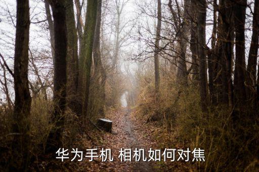 華為相機鏡頭自動對焦,如何使用華為榮耀60自動對焦系統(tǒng)?