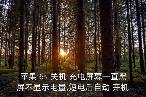 蘋果6s關(guān)機(jī)充電自動(dòng)開機(jī)嗎,蘋果6s關(guān)機(jī)充電、手機(jī)自動(dòng)開機(jī)