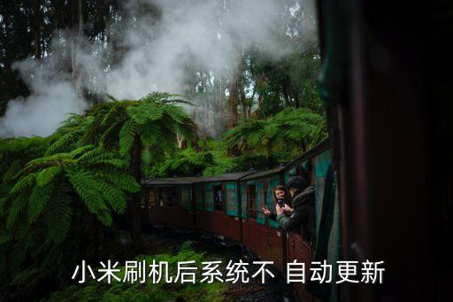  小米刷機(jī)后系統(tǒng)不 自動(dòng)更新