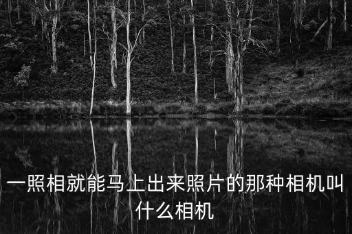 自動(dòng)照相機(jī)能夠,定時(shí)拍照照相機(jī)功能一般但玩玩還可以