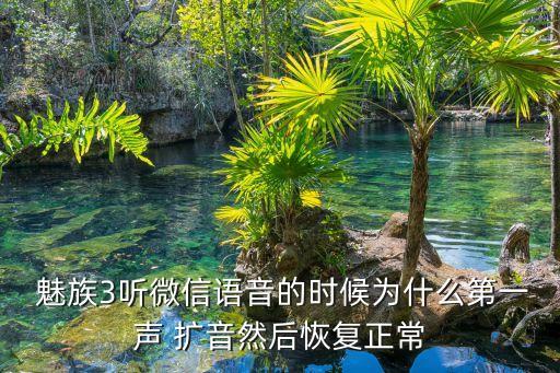 魅族自動擴音,如何使用手機聲音管理器管理系統(tǒng)?