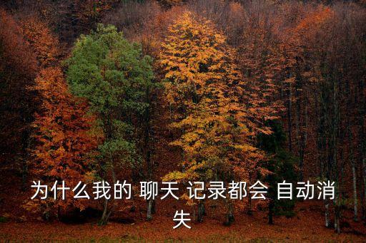 無(wú)秘中聊天記錄不自動(dòng)銷(xiāo)毀,聊天記錄消失前你有沒(méi)有其他操作?