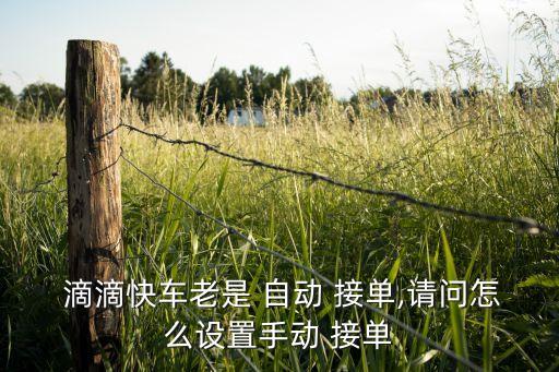 寧波滴滴是自動(dòng)接單嗎,滴滴快車(chē)接單技巧: