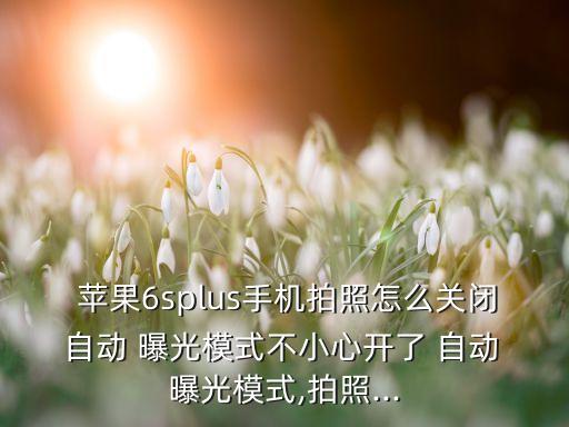 蘋果自動曝光怎么關掉,蘋果手機如何自動曝光?看這里!