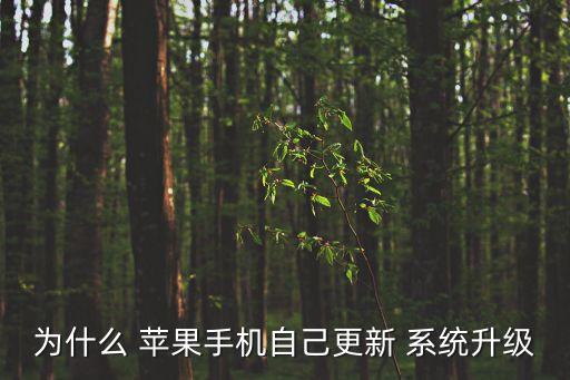 為什么 蘋(píng)果手機(jī)自己更新 系統(tǒng)升級(jí)