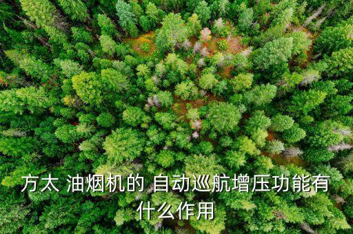 自動調(diào)節(jié)抽油煙機(jī),華帝i11134傳統(tǒng)油煙機(jī)變頻不在