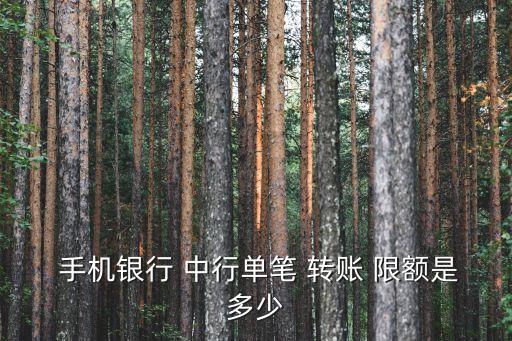 手機(jī)銀行 中行單筆 轉(zhuǎn)賬 限額是多少