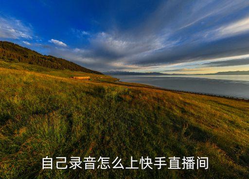 自己錄音怎么上快手直播間
