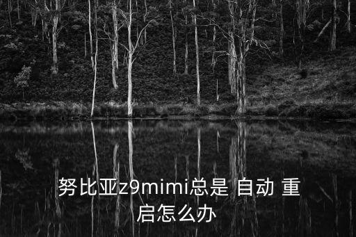  努比亞z9mimi總是 自動 重啟怎么辦