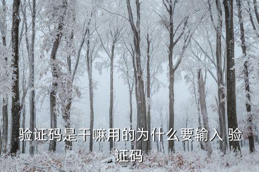 刷票 自動填驗(yàn)證碼,第三方搶票軟件利用高速網(wǎng)絡(luò)快速刷票