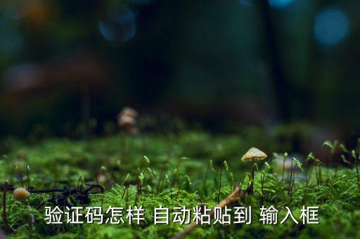  驗(yàn)證碼怎樣 自動(dòng)粘貼到 輸入框