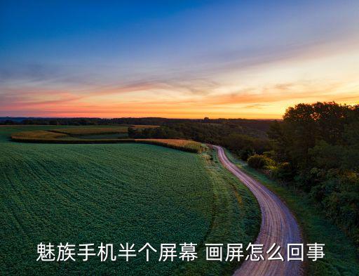  魅族手機(jī)半個屏幕 畫屏怎么回事