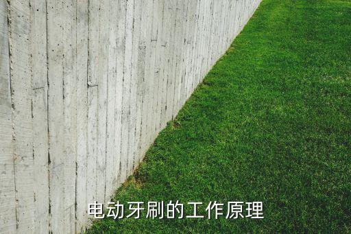 電動牙刷的工作原理