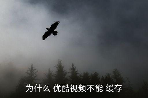 為什么 優(yōu)酷視頻不能 緩存