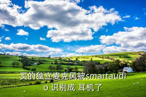 買的獨(dú)立麥克風(fēng)被smartaudio 識(shí)別成 耳機(jī)了