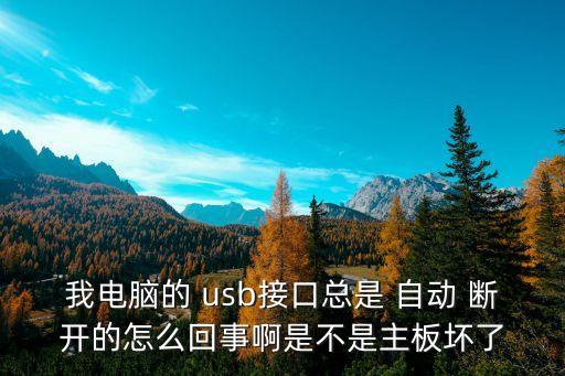 我電腦的 usb接口總是 自動 斷開的怎么回事啊是不是主板壞了