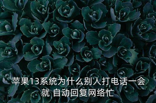 蘋果13系統(tǒng)為什么別人打電話一會(huì)就 自動(dòng)回復(fù)網(wǎng)絡(luò)忙