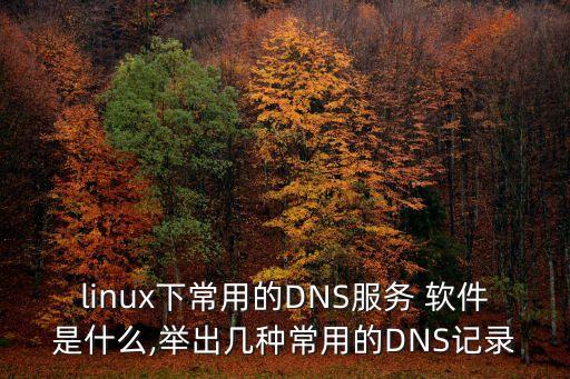 linux下常用的DNS服務 軟件是什么,舉出幾種常用的DNS記錄