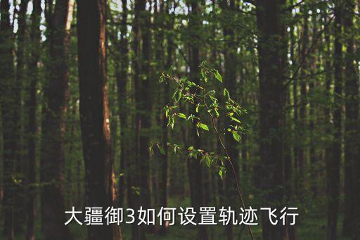 大疆御如何自動(dòng)跟隨,大疆genie3飛機(jī)跟隨功能暫時(shí)沒(méi)有