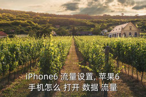 蘋果6自動打開數(shù)據(jù)流量,下載應(yīng)用和音樂盡量使用電腦上的助手