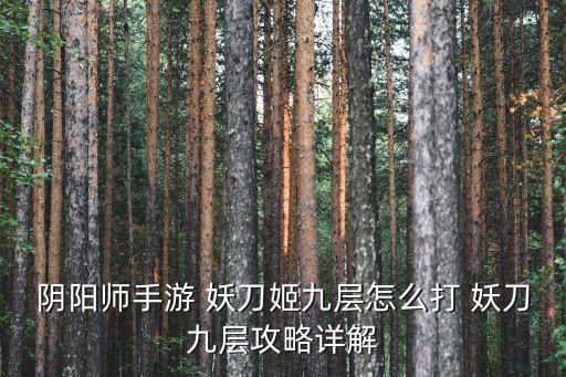 陰陽師手游 妖刀姬九層怎么打 妖刀九層攻略詳解