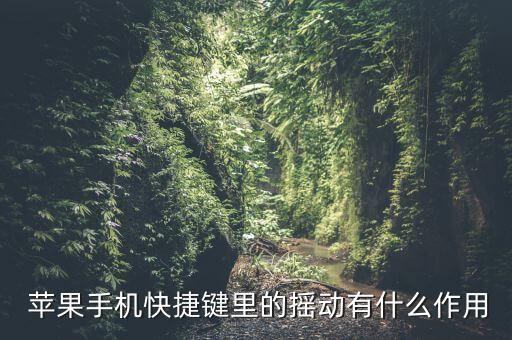 蘋果自動搖一搖軟件,蘋果手機無法使用微信搖一搖1搖功能