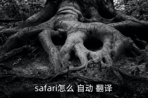 safari怎么 自動 翻譯