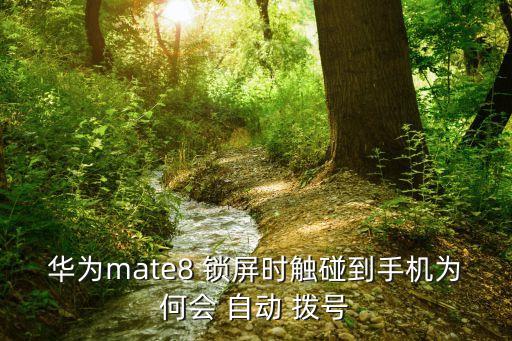 華為mate8 鎖屏?xí)r觸碰到手機(jī)為何會 自動 撥號