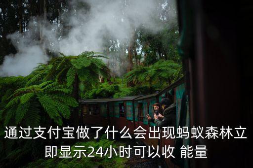 能量球自動(dòng)收,螞蟻森林巡邏動(dòng)物可盜-1能量受歡迎