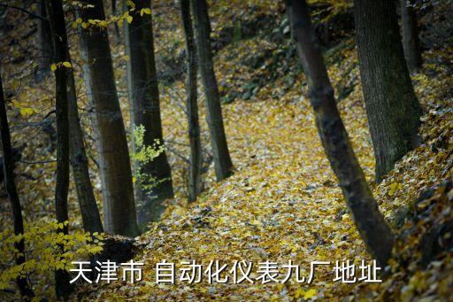 天津市 自動(dòng)化儀表九廠地址