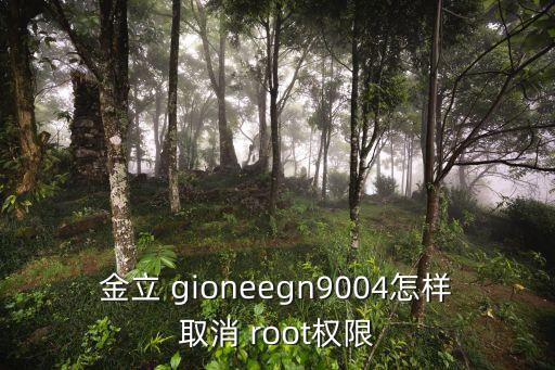 金立 gioneegn9004怎樣取消 root權(quán)限