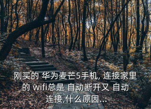 華為老是自動連接wifi,手機管家如何自動連接?