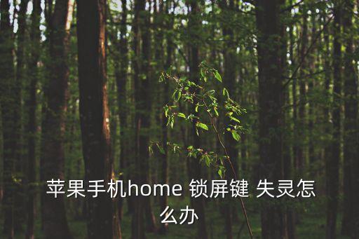  蘋果手機(jī)home 鎖屏鍵 失靈怎么辦