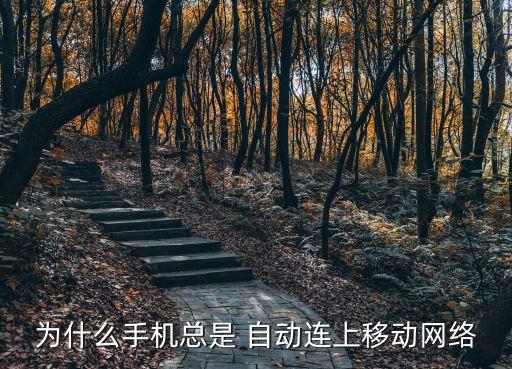 wlan一直自動鏈接,手機俱樂部自動上網(wǎng)有三個原因