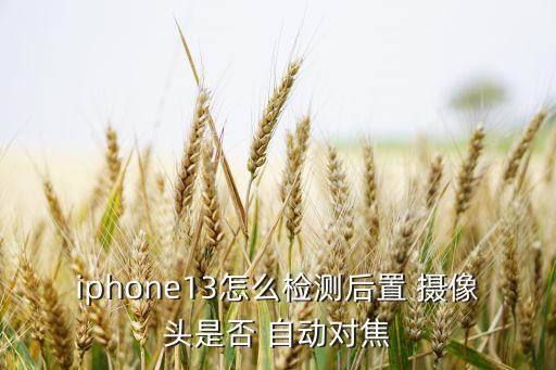 iphone13怎么檢測(cè)后置 攝像頭是否 自動(dòng)對(duì)焦