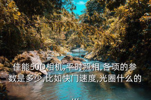 佳能50D相機(jī),平時(shí)照相,各項(xiàng)的參數(shù)是多少,比如快門(mén)速度,光圈什么的...