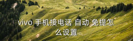 vivo 手機(jī)接電話(huà) 自動(dòng) 免提怎么設(shè)置