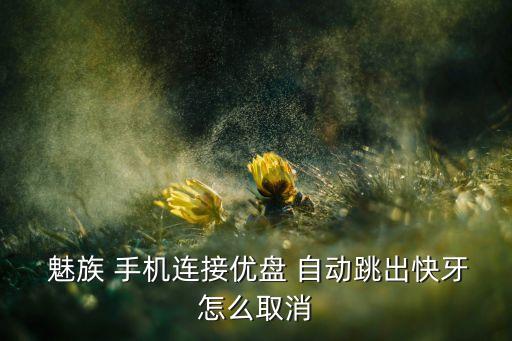  魅族 手機連接優(yōu)盤 自動跳出快牙怎么取消
