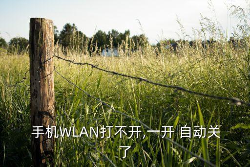 手機(jī)打開(kāi)wlan自動(dòng)關(guān)閉,手機(jī)wifi打不開(kāi)怎么辦?