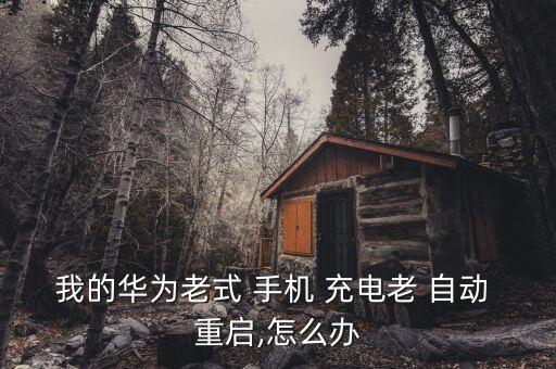 我的華為老式 手機(jī) 充電老 自動(dòng) 重啟,怎么辦