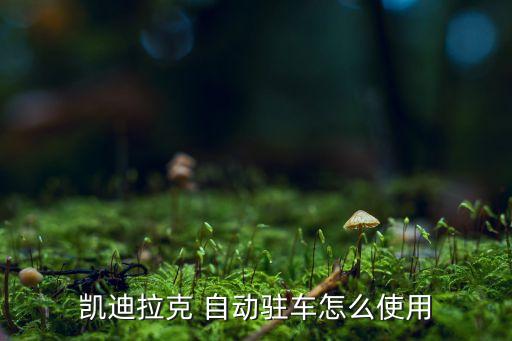 自動泊車 機器人,越來越多低智商機器人加入了社會