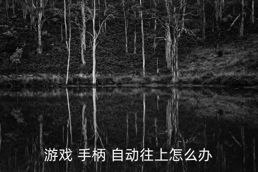 游戲 手柄 自動(dòng)往上怎么辦
