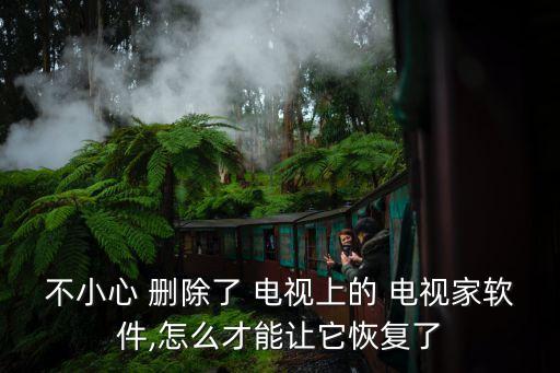 不小心 刪除了 電視上的 電視家軟件,怎么才能讓它恢復(fù)了
