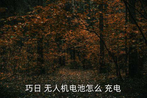 巧日 無人機電池怎么 充電