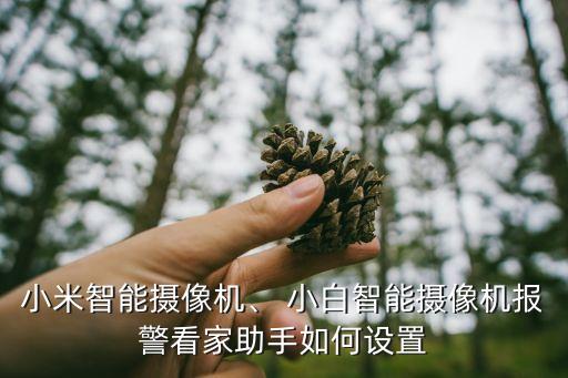 小米智能攝像機(jī)、 小白智能攝像機(jī)報(bào)警看家助手如何設(shè)置