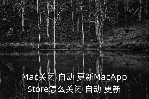 mac上應(yīng)用的自動(dòng)更新,手動(dòng)點(diǎn)擊更新選項(xiàng)即可更新應(yīng)用程序